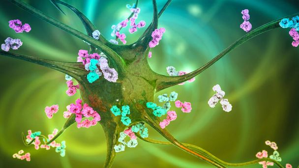 Антитела атакуют нейрон, 3D иллюстрация. Концепция аутоиммунных неврологических заболеваний - Фото, изображение