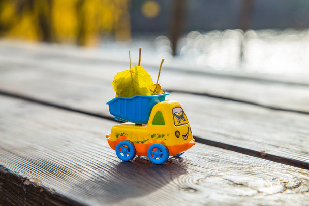 Malé autíčko stojí na dřevěném povrchu na pozadí rozmazaného podzimního parku - Fotografie, Obrázek