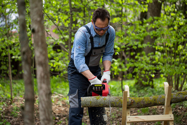 Woodcutter in working uniform sawing wood with electric saw, sawhorse in forest - Photo, Image