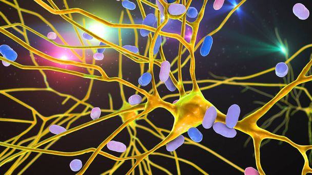 Bakteerit tartuttavat neuroneja, aivosoluja, 3D-kuvia. Käsitteellinen kuva bakteeri-enkefaliitista, aivokalvontulehduksesta, aivokudoksen bakteeri-infektiosta - Valokuva, kuva