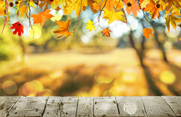Tavolo in legno con foglie d'arancio fondo autunno - Foto, immagini