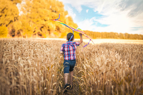 Little boy in a checkered shirt running with kite on the wheat field on summer day in the park. back view - Photo, Image