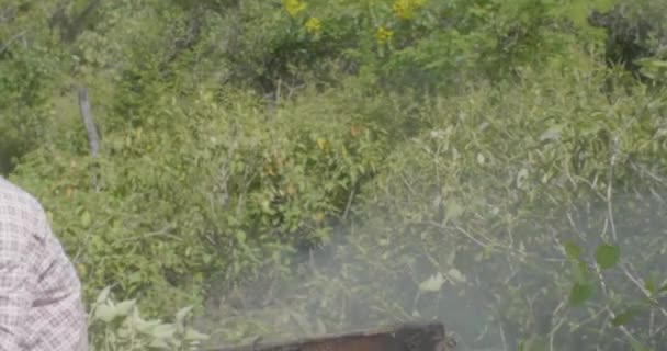 Itatiqui, Santa Cruz / Bolívie -Březen 25 2017: Muž tahání med z úlu a další Fumigate udržet včely pryč - Záběry, video