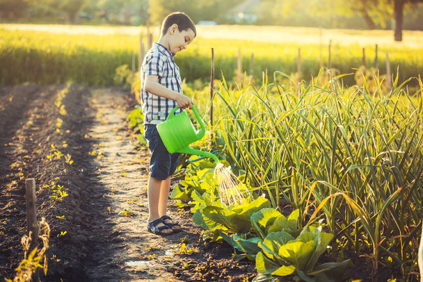 Aranyos fiú zöldségeket locsolt a kertben egy nyári napsütéses napon. öko-mezőgazdasági asszisztens - Fotó, kép