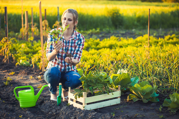 woman farmer works in a garden in a plaid shirt. - 写真・画像