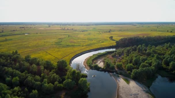 Aerial view of a beautiful landscape: river field trees forest nature - Footage, Video