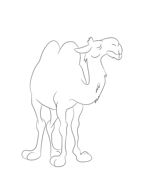 vektorová ilustrace stojícího velblouda, čárový výkres, vektor, bílé pozadí - Vektor, obrázek