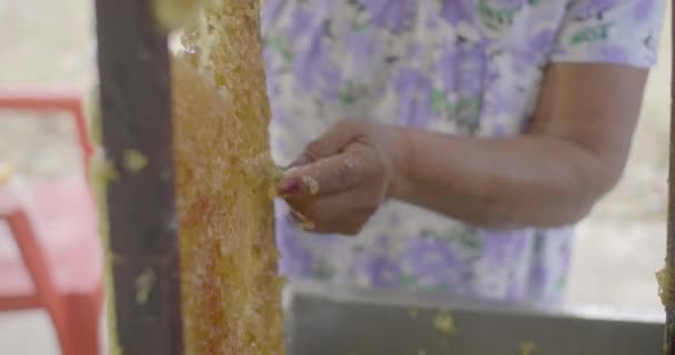 養蜂プロセス,塗装爪を持つ女性は、ハニカムで熟した蜂蜜を収集します - 映像、動画