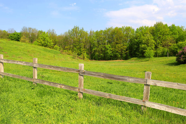 гарний сільський пейзаж з дерев'яним парканом на зеленому лузі
 - Фото, зображення