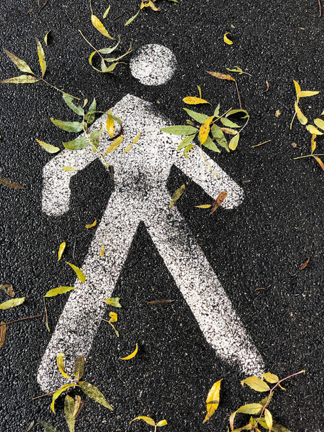 closeup πινακίδα πεζόδρομο στο έδαφος που καλύπτεται με φύλλα φθινόπωρο - Φωτογραφία, εικόνα