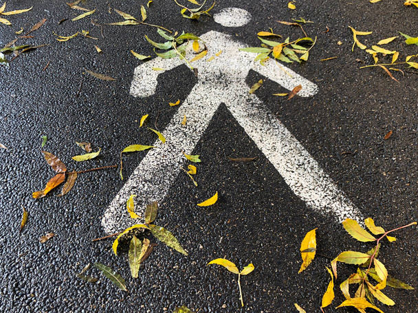 closeup pedestrian way sign on ground covered with autumn leaves - Photo, Image