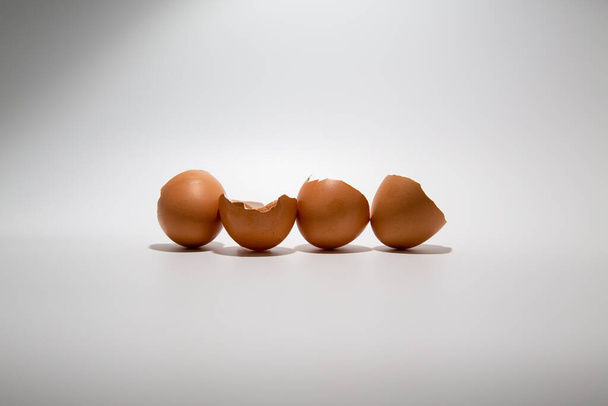 Törött csirke tojáshéj sorban elszigetelt fehér háttér másolási hely - Fotó, kép