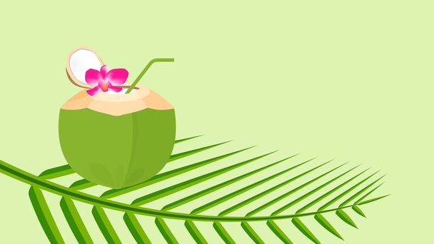 coconut juice fresh with plumeria flower on leaf, coconut green young half cut for healthy menu fruit juice, coconut summer fruit concept, clip art green coconut juicy isolated on white - Vector, Image