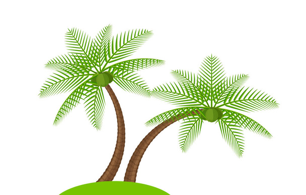 two coconut tree simple isolated on white, illustration coconut palm tree, coconut tree for clip art, palm tree on small hill island - Vector, Image