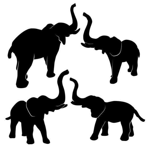 Jednoduchý vektor, 4 různé perspektivy, silueta slona, izolovaný na bílém - Vektor, obrázek
