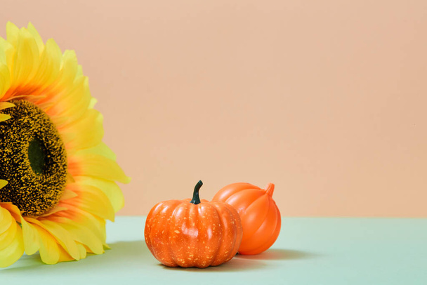 Happy thanksgiving day. Harvest festival. Thanksgiving background. Sunflower and orange pumpkin. Copy space for text - Photo, image