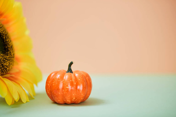 Harvest festival. Happy thanksgiving day concept. Pumpkin and bright sunflower on table. Copy space for text on peach - Photo, image