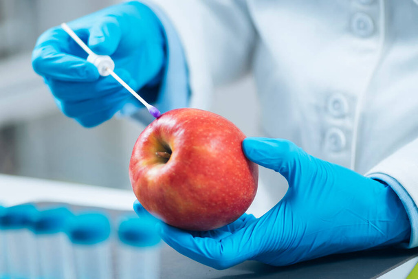 Sicurezza alimentare Test di pesticidi e nitrati delle mele in laboratorio Biochimico alla ricerca di pesticidi e nitrati nei frutti delle mele   - Foto, immagini