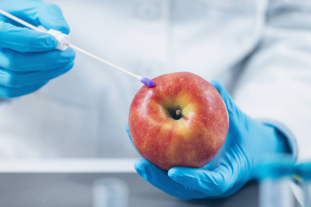 Lebensmittelsicherheit Pestizid- und Nitrattests an Äpfeln im Labor - Biochemiker auf der Suche nach dem Vorhandensein von Pestiziden und Nitraten in Apfelfrüchten   - Foto, Bild