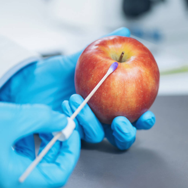 Лабораторний аналіз харчової безпеки - біохімік, який шукає присутність пестицидів у яблуках
 - Фото, зображення