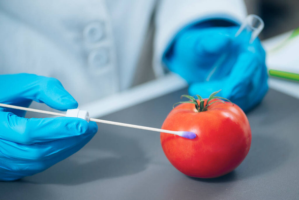 Analiza laboratoryjna bezpieczeństwa żywności - Biochemik poszukujący obecności pestycydów w pomidorach - Zdjęcie, obraz