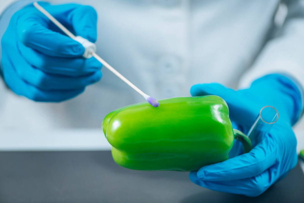 食品の品質管理。研究室におけるピーマン野菜における農薬の存在を検討する生物学者 - 写真・画像