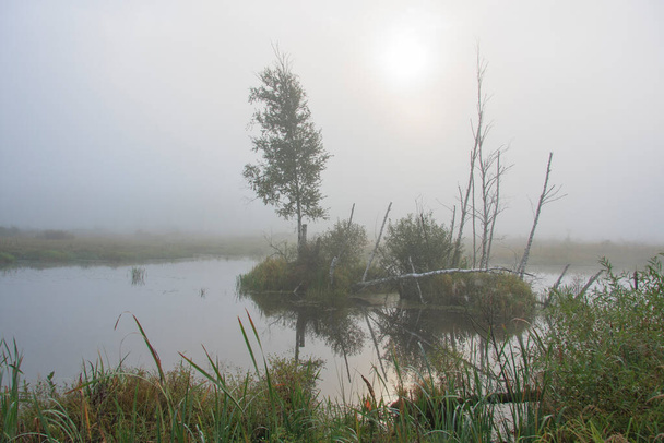 Amanecer de un sol sobre un pantano cubierto de niebla
 - Foto, imagen