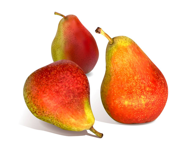 熟した、ジューシーな梨は白い背景に隔離されています。3つの赤緑の梨のセット。3Dだ。ベクトル。Eps 10. - ベクター画像