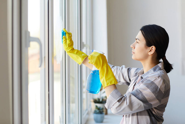 Empregada doméstica fazendo tarefas
 - Foto, Imagem