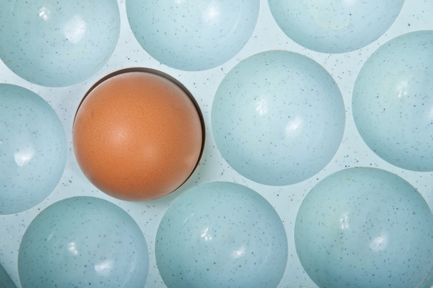 Egg in a plastic container - Foto, Imagem