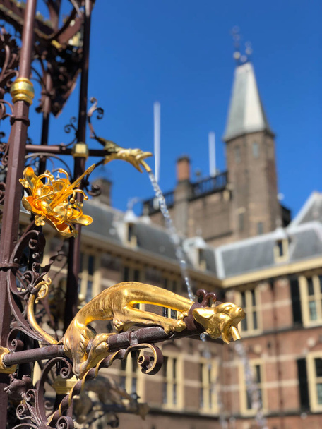 Fountain at the Binnenhof, in honor of count William II of Holland - Photo, Image