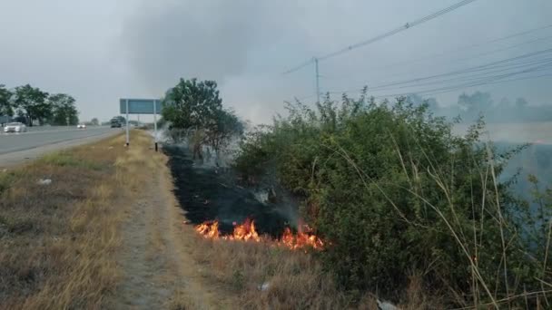 Bosbrand in de buurt van de weg in nationaal park. Klimaatverandering crisis. Droge vegetatie vuur in het droge seizoen. Fotoalbum 4k - Video