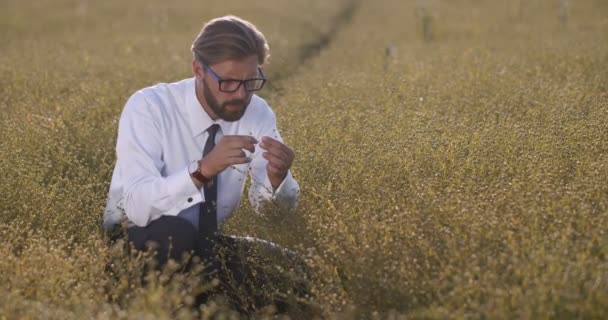 Mature businessman controlling quality of young harvest - Filmagem, Vídeo
