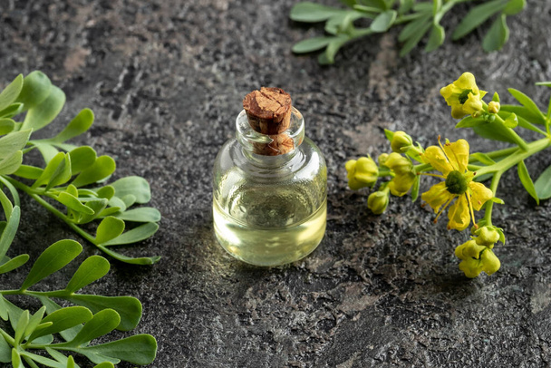 Eine Flasche ätherisches Öl mit blühender Raute oder Ruta graveolens Pflanze - Foto, Bild