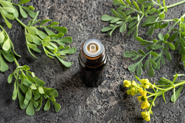 Butelka olejku eterycznego kroplomierz z kwitnącą ruty pospolitej, lub gałązki grobowca Ruta - Zdjęcie, obraz