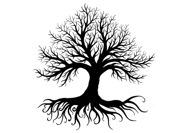 tree silhouette isolated on white background. - Vector, Image