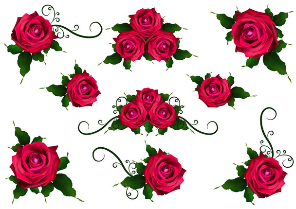 Rosenblüte einer blühenden Pflanze. Gartenrose isolierte Ikone der roten Blüte, Blütenblatt und Knospe mit grünem Stiel und Blatt für romantischen Blumenschmuck, Hochzeitsstrauß und Valentin-Grußkarte  - Vektor, Bild