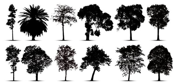 siluetas de árbol sobre fondo blanco. Ilustración vectorial. - Vector, Imagen