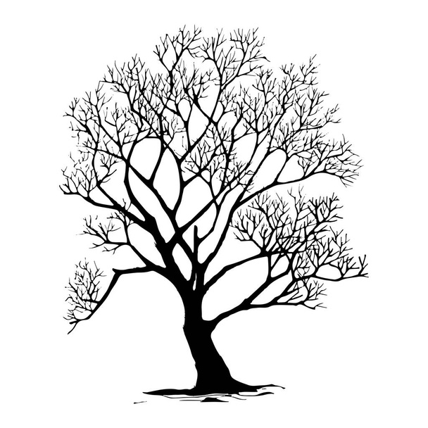 tree silhouettes on white background. Vector illustration. - Διάνυσμα, εικόνα