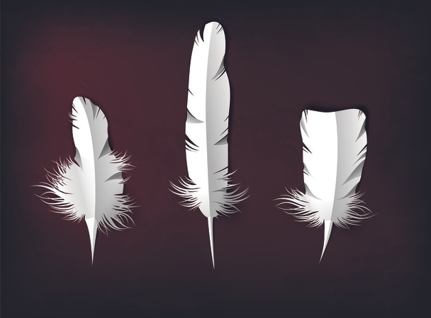 feathers, feathers set, plumage - Vector, Image