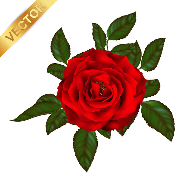 όμορφο μπουκέτο με κόκκινα τριαντάφυλλα και φύλλα. Floral arrangement.design ευχετήρια κάρτα και πρόσκληση για το γάμο, γενέθλια, Ημέρα του Αγίου Βαλεντίνου, Ημέρα της μητέρας και άλλες διακοπές. - Διάνυσμα, εικόνα