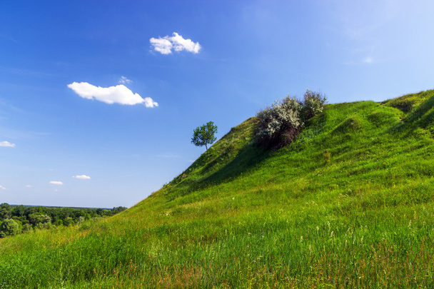 groene heuvel - Foto, afbeelding