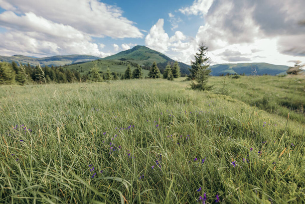 A field with a mountain in the background - Photo, Image