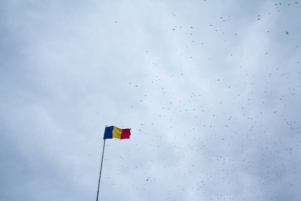 ルーマニアの旗は、黒い鳥が飛んでいる灰色の曇った空の前で、ブカレストの旗竿になびくDrapelul Romanieiとも呼ばれます。ルーマニアの国章である。 - 写真・画像