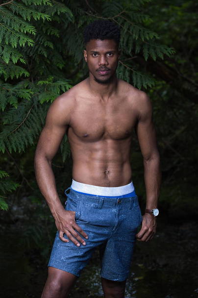 Молодий підходить чорний чоловік без сорочки в лісі, здоровий, серйозний, позуючий спортивний зразок
 - Фото, зображення