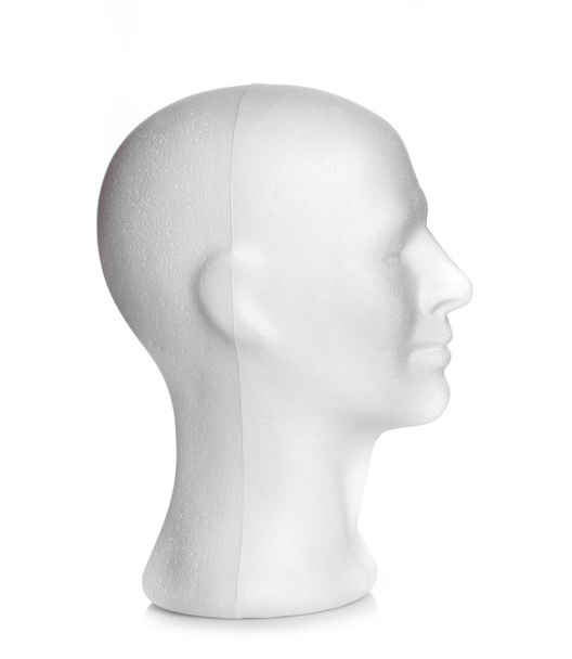 Ανδρικό κεφάλι από φελιζόλ - Φωτογραφία, εικόνα