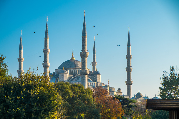 Istanbulin sininen moskeija
 - Valokuva, kuva