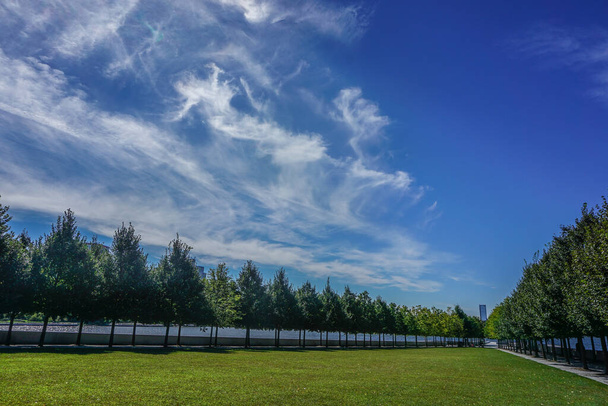 Roosevelt Island, New York: Der Rasen des Four Freedoms Park am East River. - Foto, Bild