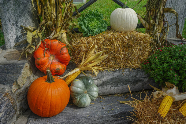 Decoraciones de Halloween de calabazas, maíz, calabaza y una fianza de heno en escalones de piedra
. - Foto, Imagen