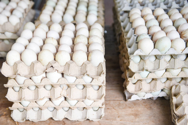Tuottaa munia tilalla luomu / Tuoreet munat valkoinen ankka muna laatikko  - Valokuva, kuva